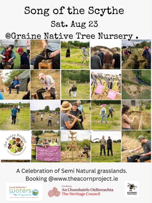 Corncrake/Traonach LIFE tweet media