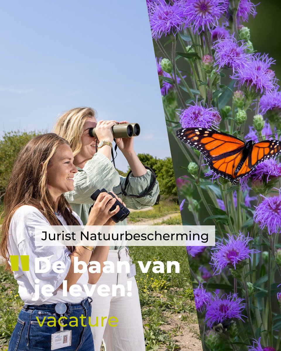 Als #Jurist #Natuurbescherming zet jij je in voor de bescherming van kwetsbare soorten en Natura 2000-gebieden. Solliciteer nu op deze Betere Wereldbaan en draag bij aan een gezonde en duurzame leefomgeving!

👉 Bekijk de volledige vacature en solliciteer: omgevingsdiensthaaglanden.nl/vacatures/juri…