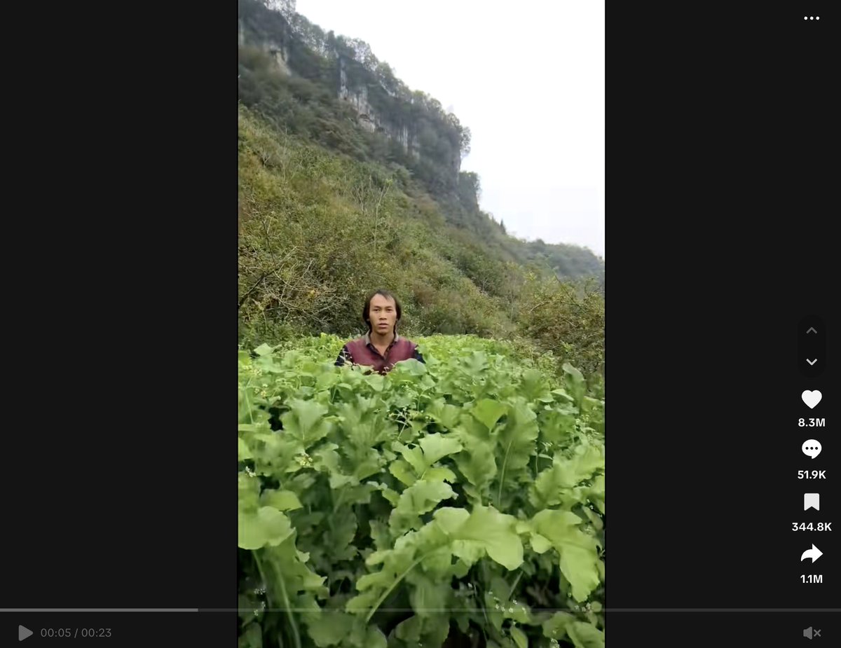 Stankeris tweet media