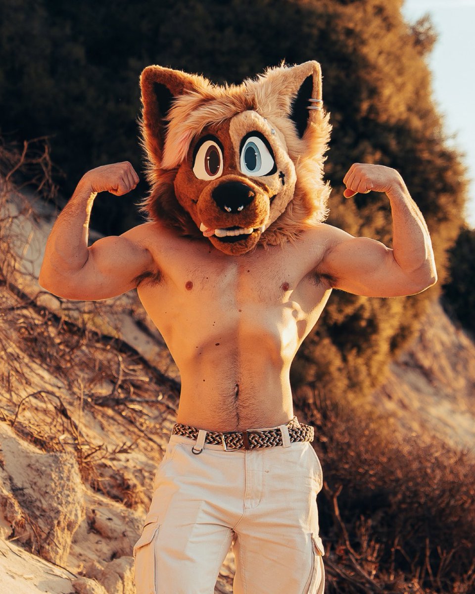 Dog in the dunes 😎