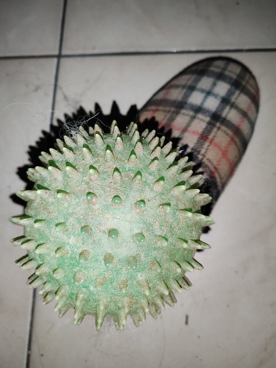 Quand le chien dépose sa balle dans ma pantoufle je ne peux m'empêcher de pensée qu'il fait de l'art contemporain. Un acquéreur ?