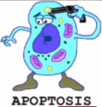 é mt ruim sair de um lugar onde eu era 100% acolhida e ir para outro onde todos me ignoram e me tratam como se eu estivesse atrapalhando