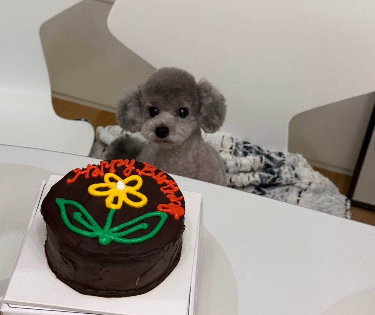 hourly_zero's tweet image. Happiest birthday ZERO! 

WE LOVE YOU 🎂🐶💜 @TAEYEONsmtown