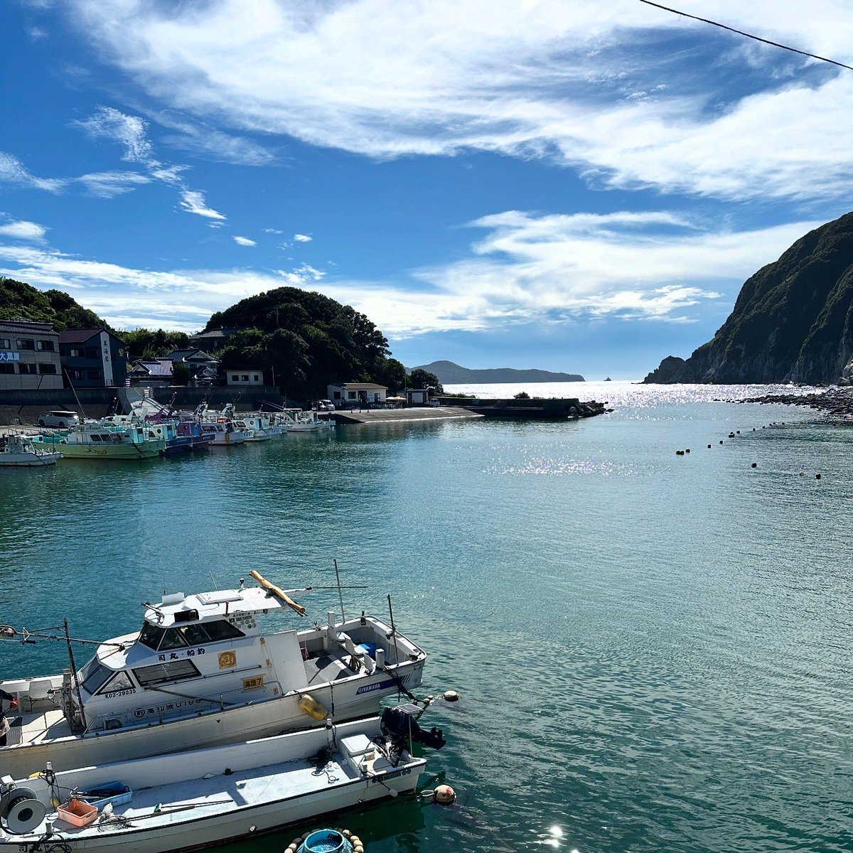 errie's tweet image. 今日の目的地は柏島！透明度はいまいちだったけど、ほとんど波のないところで、いろんな種類の魚が見られるのが楽しい。

足の立つ深さにスイミーの仲間たちがいてびっくりした。👦ﾎﾞｸｶﾞﾒﾆﾅﾛｳ! 晩ごはんに煮付けたいようなやつもたくさん見かけたなで🤤 
#kaiyu #海癒 #yostrip