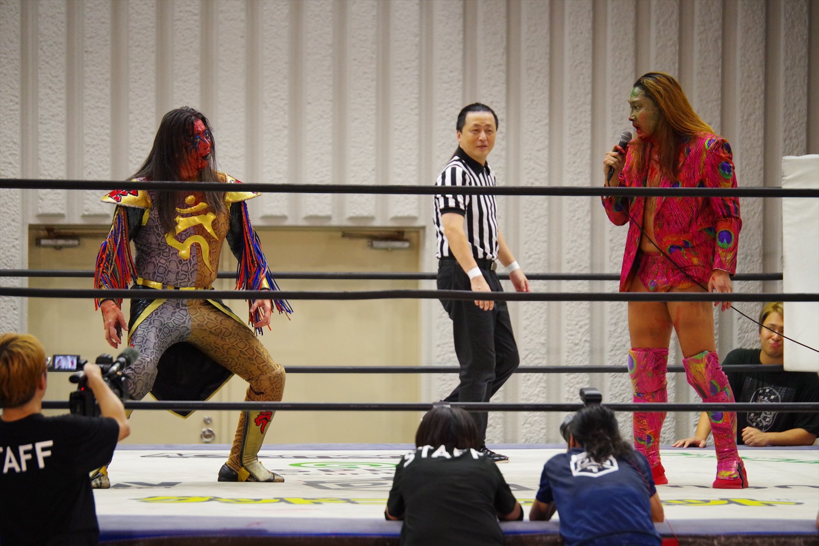 ポイズン澤田JULIE DDT プロレス ガレージキット　フィギュア ポイズン澤田JULIE DDT プロレス ガレージキット フィギュア