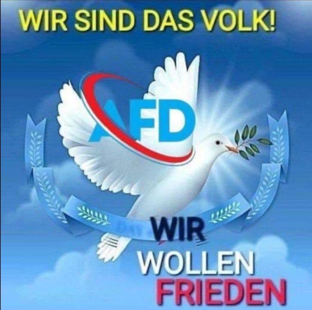 Deutsche Waffen und Soldaten nur zur Verteidigung Deutschlands, niemals ins Ausland !