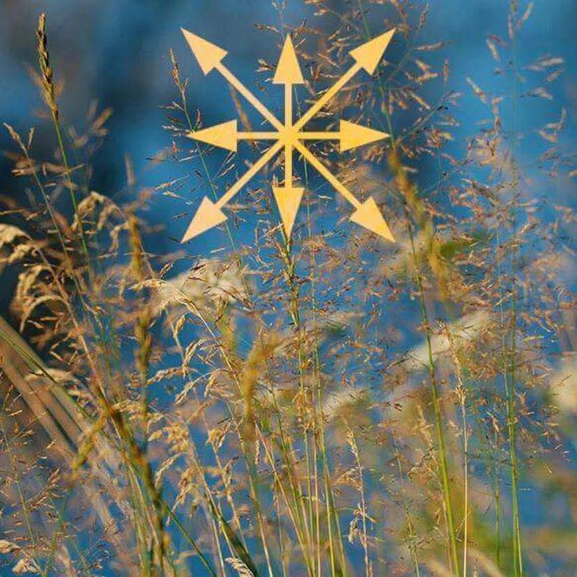 Azanian Patriot (@stalinist_chris) on Twitter photo 