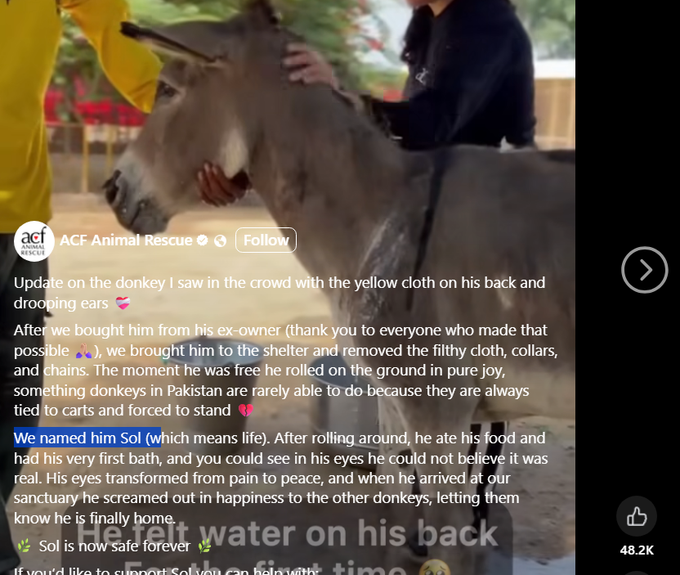broks (@bitpotsol) on Twitter photo I found this donkey named Sol
it has more than 1m views 47k likes from yesterday
<a href="/acfusa/">Action Against Hunger US</a>
needs our help according to this viral post so I'm sending all fees to them
facebook.com/reel/202026782… I found this donkey named Sol
it has more than 1m views 47k likes from yesterday
<a href="/acfusa/">Action Against Hunger US</a>
needs our help according to this viral post so I'm sending all fees to them
facebook.com/reel/202026782…
