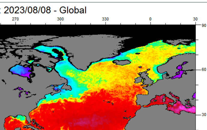 Stysz's tweet photo. Na razie jest to jeszcze medialna i naukowa i klimatystyczna tajemnica Poliszynela. 

Jednak z uwagi na dramatyczne tempo spadające zasolenia usłyszycie (bo tego nie da się długo pomijać milczeniem) o możliwości "zawału" lub częściowego zawału cyrkulacji AMOC. https://t.co/w0WPNL8XXU