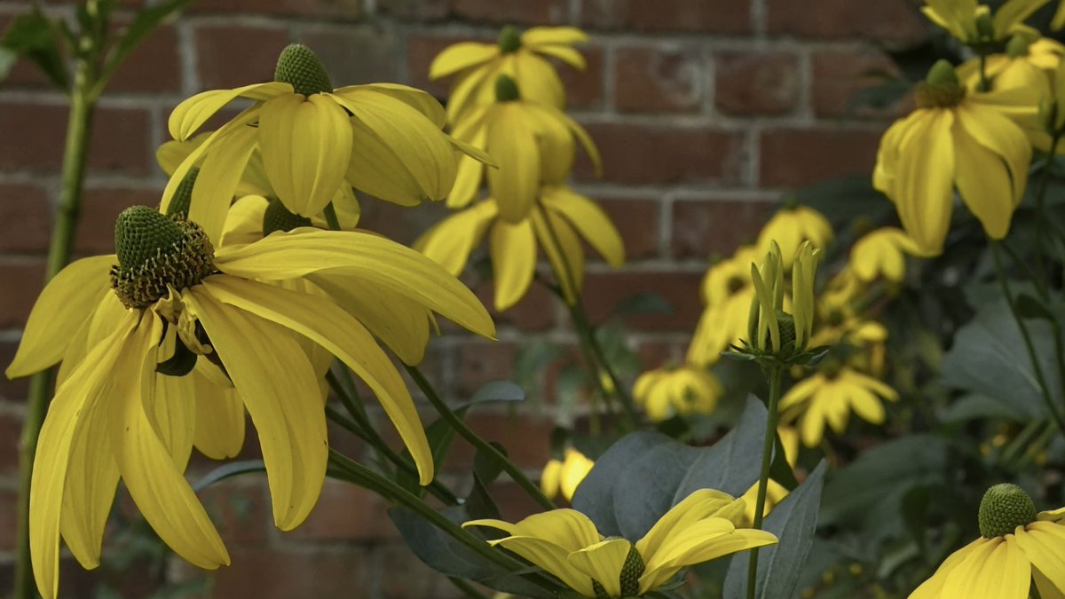 चार फूल हैं और दुनिया है।