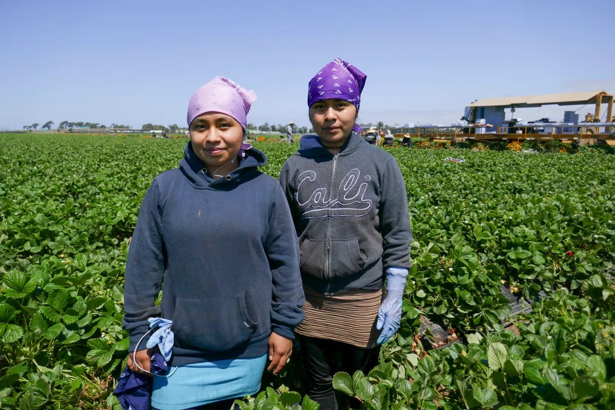 What kind of Governor allows the trafficking of children so they can work as slave labor on farms?