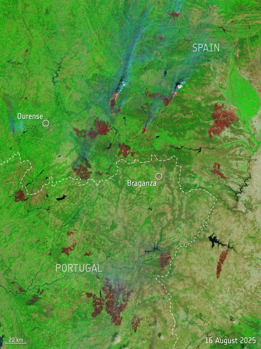 ESA Earth Observation (@esa_eo) on Twitter photo Soaring temperatures and dry land have fuelled widespread wildfires in Southern Europe, with Spain and Portugal among the regions hardest hit: esa.int/Applications/O…
As reported by <a href="/CopernicusECMWF/">Copernicus ECMWF</a>, in the past 6 days emissions for Spain have reached the highest annual total Soaring temperatures and dry land have fuelled widespread wildfires in Southern Europe, with Spain and Portugal among the regions hardest hit: esa.int/Applications/O…
As reported by <a href="/CopernicusECMWF/">Copernicus ECMWF</a>, in the past 6 days emissions for Spain have reached the highest annual total