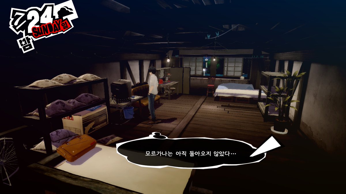 고양이 키우는데 분리불안이 너무 심해요
고양이가요?
아뇨 제가요