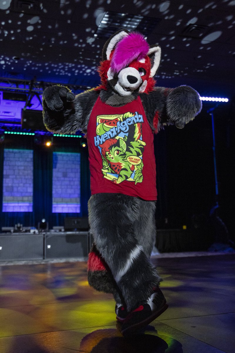 Guess it’s national furry day. First time I’ve heard of this XD. Photo credit to <a href="/dire_walf/">Dire Walf</a> from this past weekend at IFC. #NationalFurryDay #gay #fursuitdancer