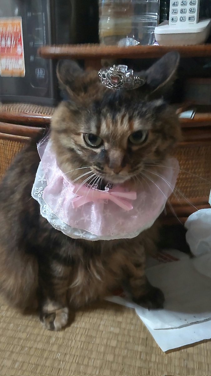 毎日癒してくれる癒しの天才で～す💕😍