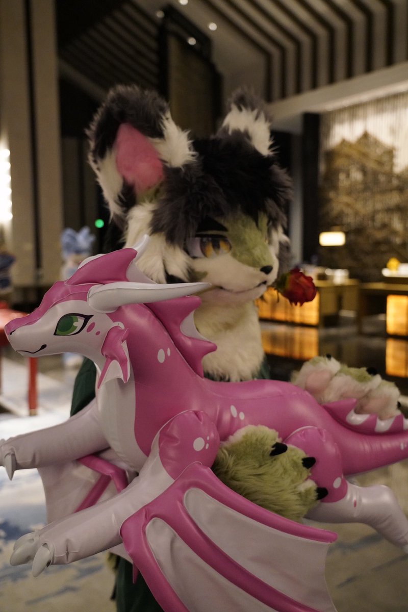 风骚yogurt tweet media