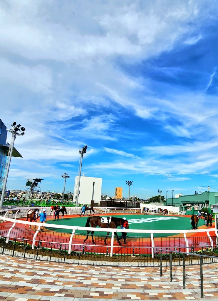 浦和開催お疲れ様でした🐴
去年まで8月に2週開催だったけど､浦和は本当に暑いので､変則日程の4日間で良かったのかなと思います。
人馬･競馬関係者の皆さま､暑い中ありがとうございます&amp;お疲れ様でした🙏
明日も競馬は続くのでご安全に🍀
#URAWABLUE