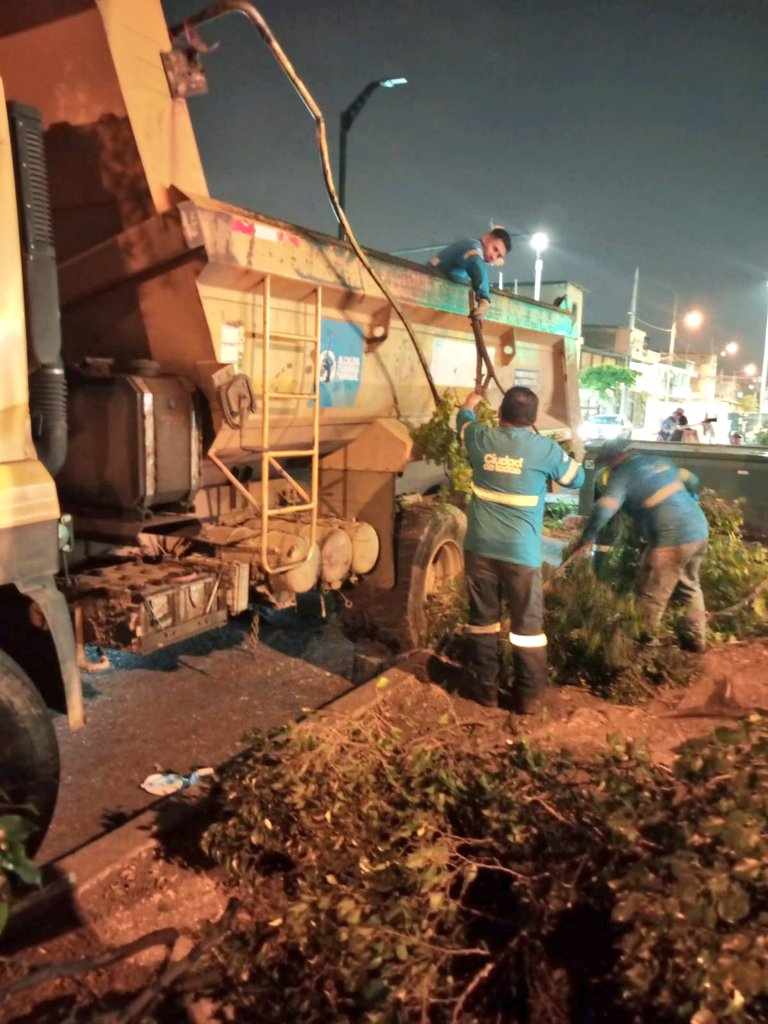 parquesgye's tweet photo. 🌳 Poda, limpieza y desalojo
✅ Av. Benjamín Carrión
✅ Calle Luis Vernaza
La cuadrilla nocturna recupera espacios para una ciudad más ordenada y segura.
#CiudadDetodos #Guayaquil #ParquesEP @alcaldiagye @aquilesalvarez https://t.co/u7BDMhp90t