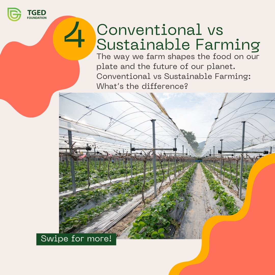 The way we farm shapes the future.

Conventional farming means chemicals, soil loss &amp; pollution.
Sustainable farming means healthy soil, clean water &amp; secure livelihoods. 
Check below for the thread

#SustainableFarming #ClimateAction #FoodSecurity #TGEDFoundation