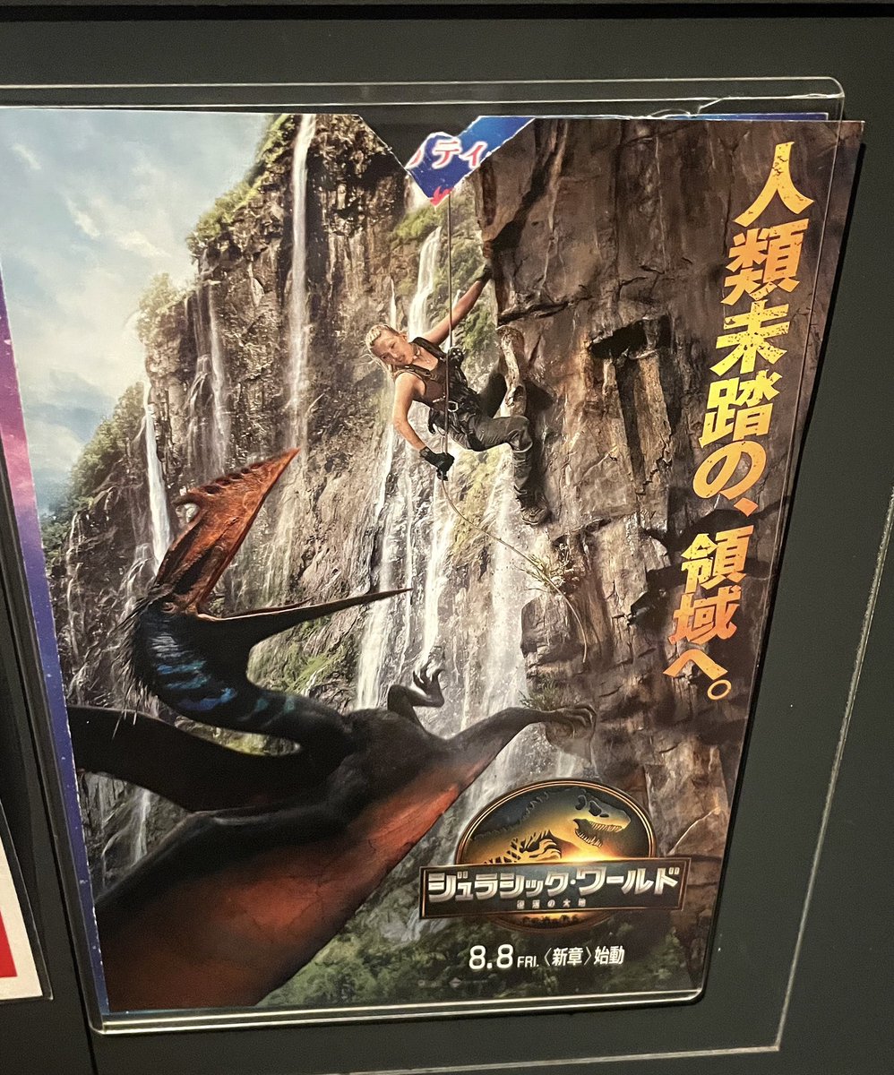 観にきた