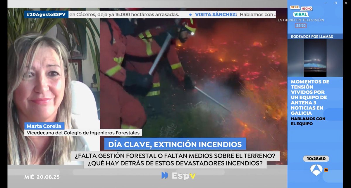 Ingeniería Forestal (@ingforestal50) on Twitter photo El programa <a href="/EspejoPublico/">Espejo Público</a> de <a href="/antena3com/">Antena 3</a> ha contado hoy con la participación de la vicedecana de nuestro Colegio <a href="/IngForestal50/">Ingeniería Forestal</a> , <a href="/martacorella1/">Marta Corella 🌲🌲🌲</a> , para hablar de la gestión de los grandes incendios forestales que recorren la península.
VER EL VÍDEO 👇
youtube.com/watch?v=S5nMBv… El programa <a href="/EspejoPublico/">Espejo Público</a> de <a href="/antena3com/">Antena 3</a> ha contado hoy con la participación de la vicedecana de nuestro Colegio <a href="/IngForestal50/">Ingeniería Forestal</a> , <a href="/martacorella1/">Marta Corella 🌲🌲🌲</a> , para hablar de la gestión de los grandes incendios forestales que recorren la península.
VER EL VÍDEO 👇
youtube.com/watch?v=S5nMBv…