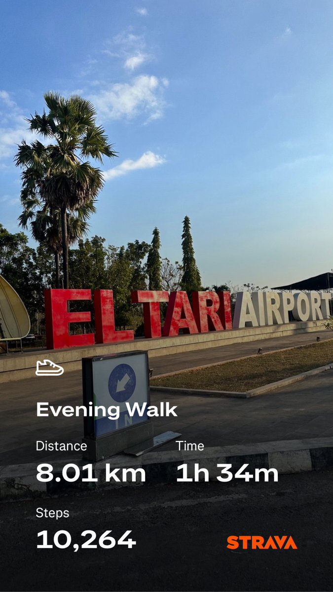 back on track 🧚🏻‍♀️