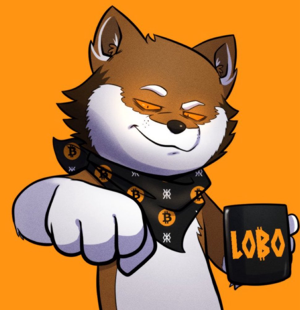 Pieralini $LOBO tweet media