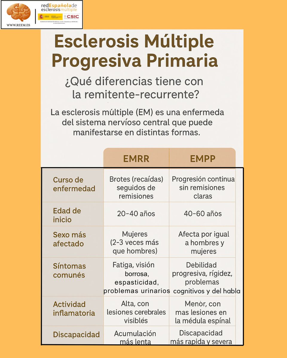 Sabías que existen distintos tipos de esclerosis múltiple
La EM Primaria Progresiva (EMPP), una forma menos conocida pero muy desafiante de esta enfermedad.
Cada tipo de EM tiene su lucha, su ritmo y su impacto. Conocerlas es el primer paso para comprender y acompañar.