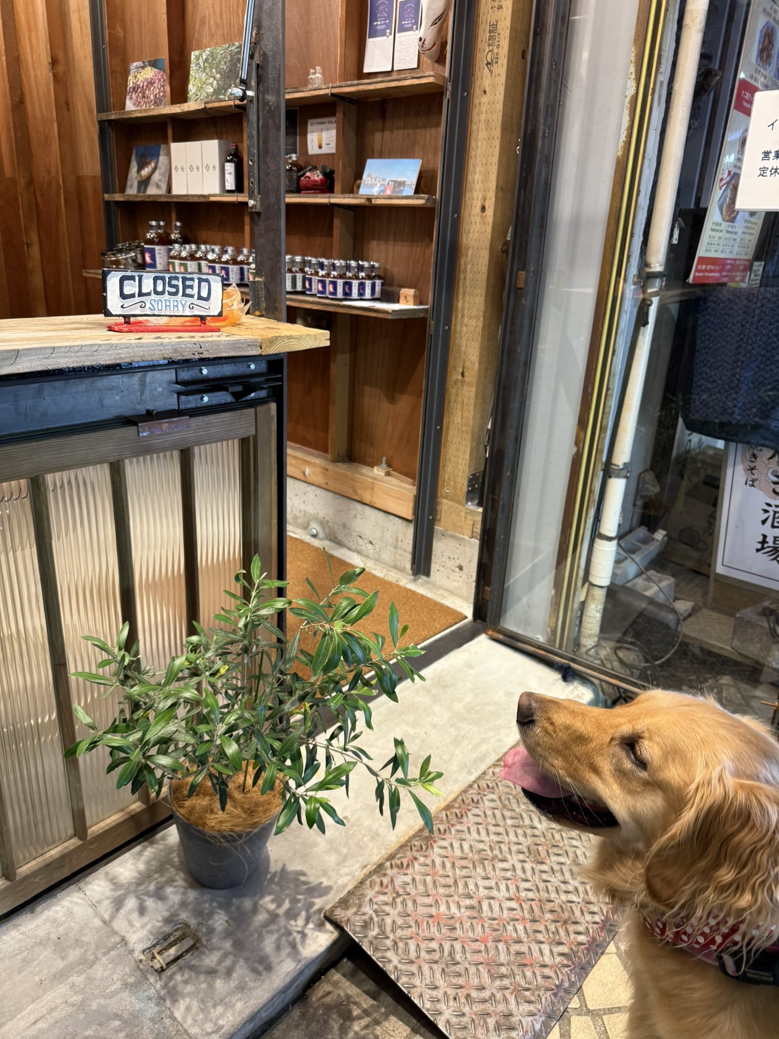 ❁aoi様❁オーダーページです しのちゃんページです アディダス・ゼットエックス 802（adidas