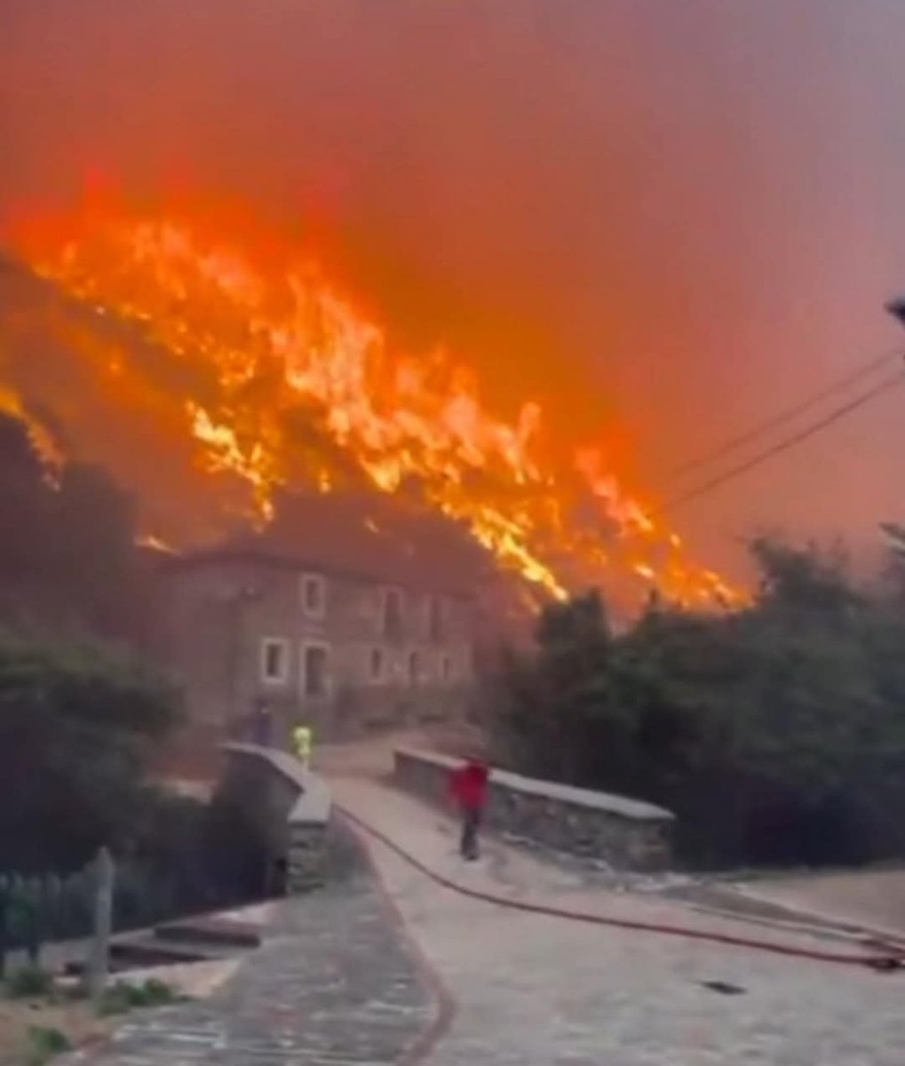 ...yo, me quedé enamorado de su sencillez y armonía, hice amigos...Y ahora, viendo las terribles imágenes, me puedo dar cuenta de hasta dónde me ha calado ese paisaje  y esas gentes y todo lo que están sufriendo...y yo con vosotros.