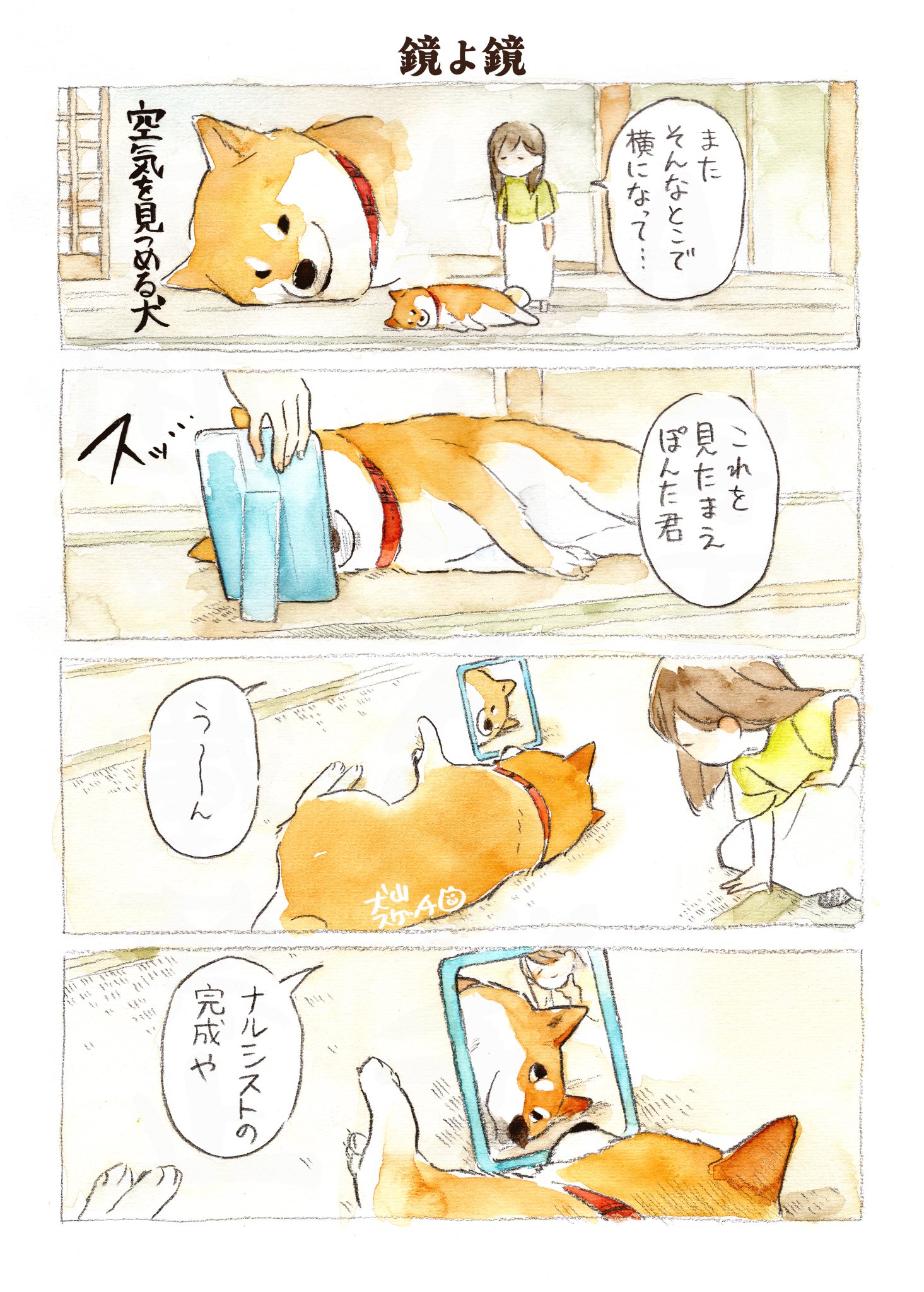 しば犬です。私の汗と涙が染み付いています。 しば犬です。私の汗と涙が染み付いています。 - メルカリ
