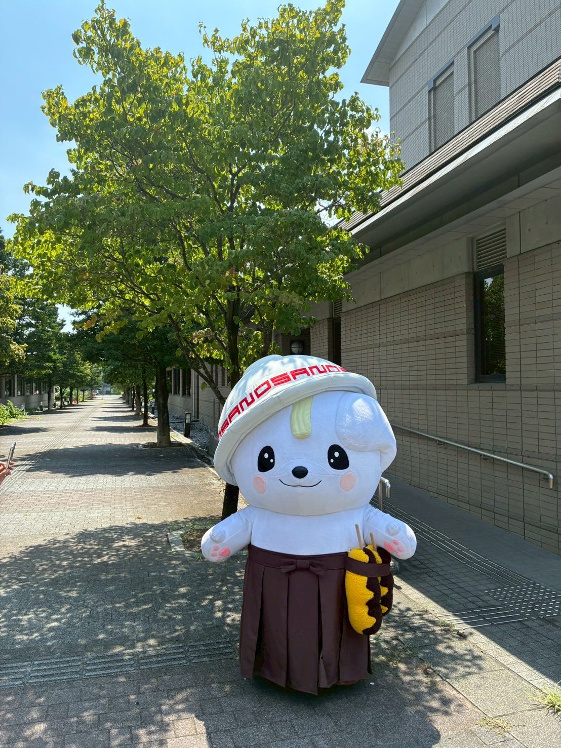 さのまる【こーしき】 (@sanomaru225) / X