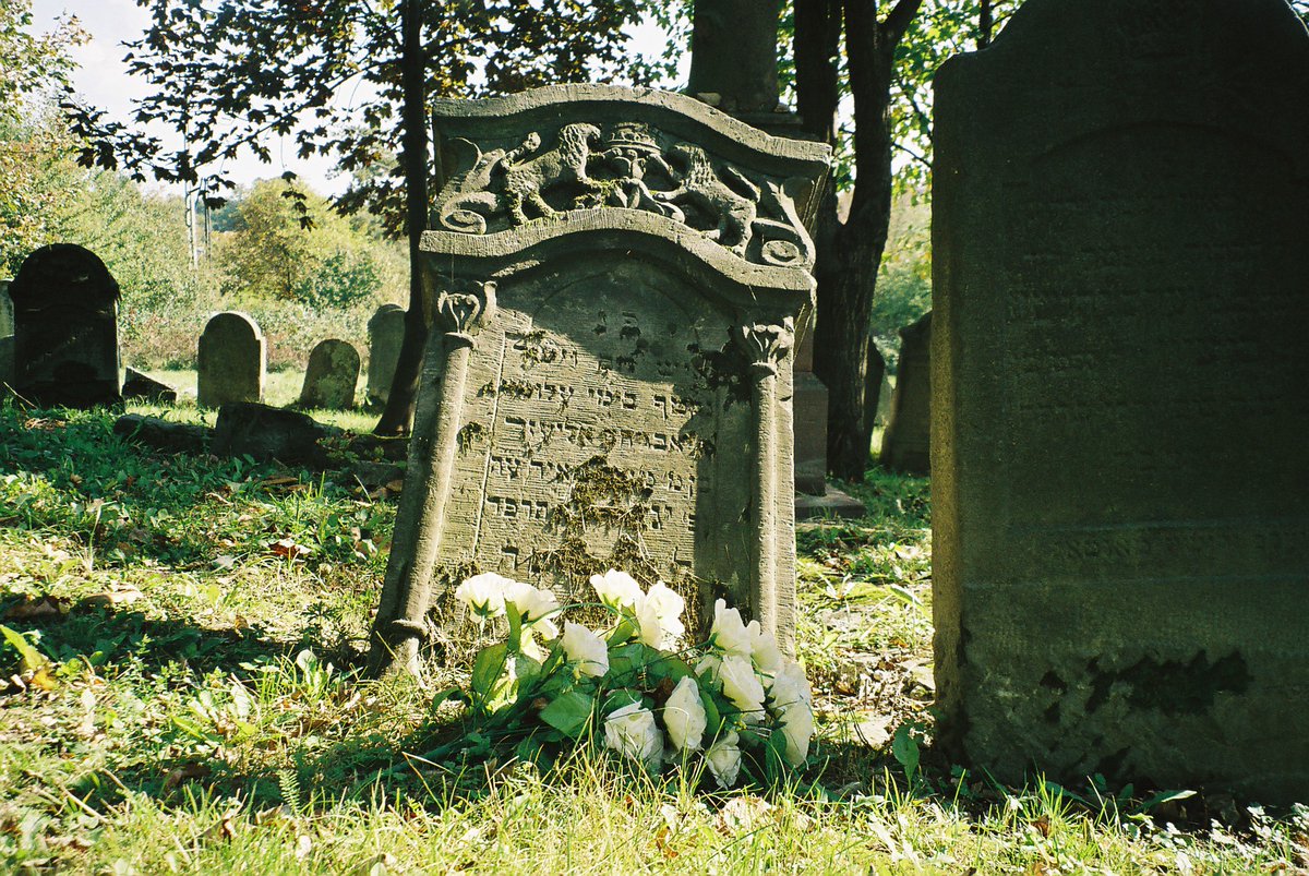 Zapraszam - w czwartek, 21 sierpnia, na spacer po krośnieńskim cmentarzu żydowskim (godz. 17:30), a po nim na krótkie prace porządkowe na cmentarzu (maks. do 20:00).
Cmentarz świeżo skoszony.
Polecam lokalnym mediom: <a href="/Krosno24pl/">Krosno24.pl</a> <a href="/terazKrosno/">terazKrosno.pl</a> <a href="/RMFMAXX/">RMF MAXX</a>