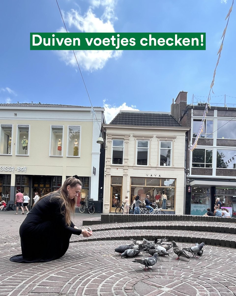 Judith Hofte tweet media