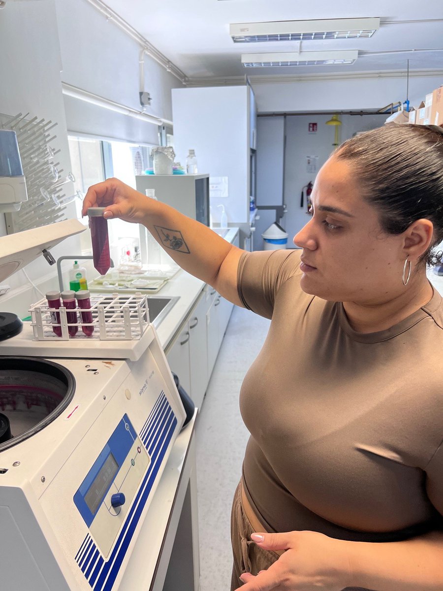 George Manganaris tweet media