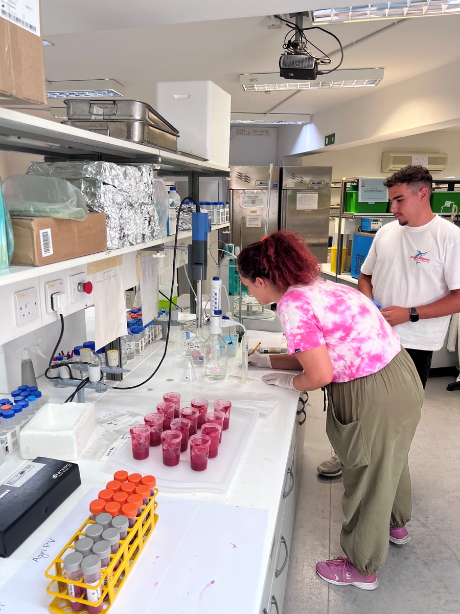💡 Back to the lab for <a href="/PrimesoftE/">PRIMESOFT_Horizon Europe</a>
CUT Fruit Sciences &amp; Postharvest Group (fruitsciences.eu) at  <a href="/CyUniTech/">Cyprus University of Technology</a> 

✔️ RNA extraction from #strawberry leaves 
✔️ Nitric oxide determination 
✔️ Qualitative analyses and sampling for #aroma profiling and #phytochemical content on
