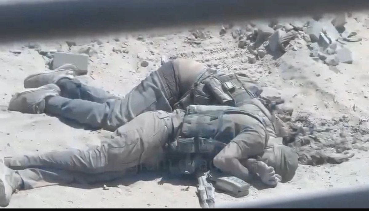 "وَتَنَاثَرُوا فِي الأرضِ لَا قَبرٌ لَهُم
أهلُ الحَوَاصِلِ ثُلَّةٌ لَا تُقبَرُ
فَنَتِ الجُسُوم وَ لَم تَزَل أروَاحهُم
يَسعَى بِهَا فِي الخُلدِ طَيرٌ أخضَرُ."