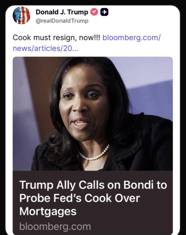 Brian Krassenstein tweet media