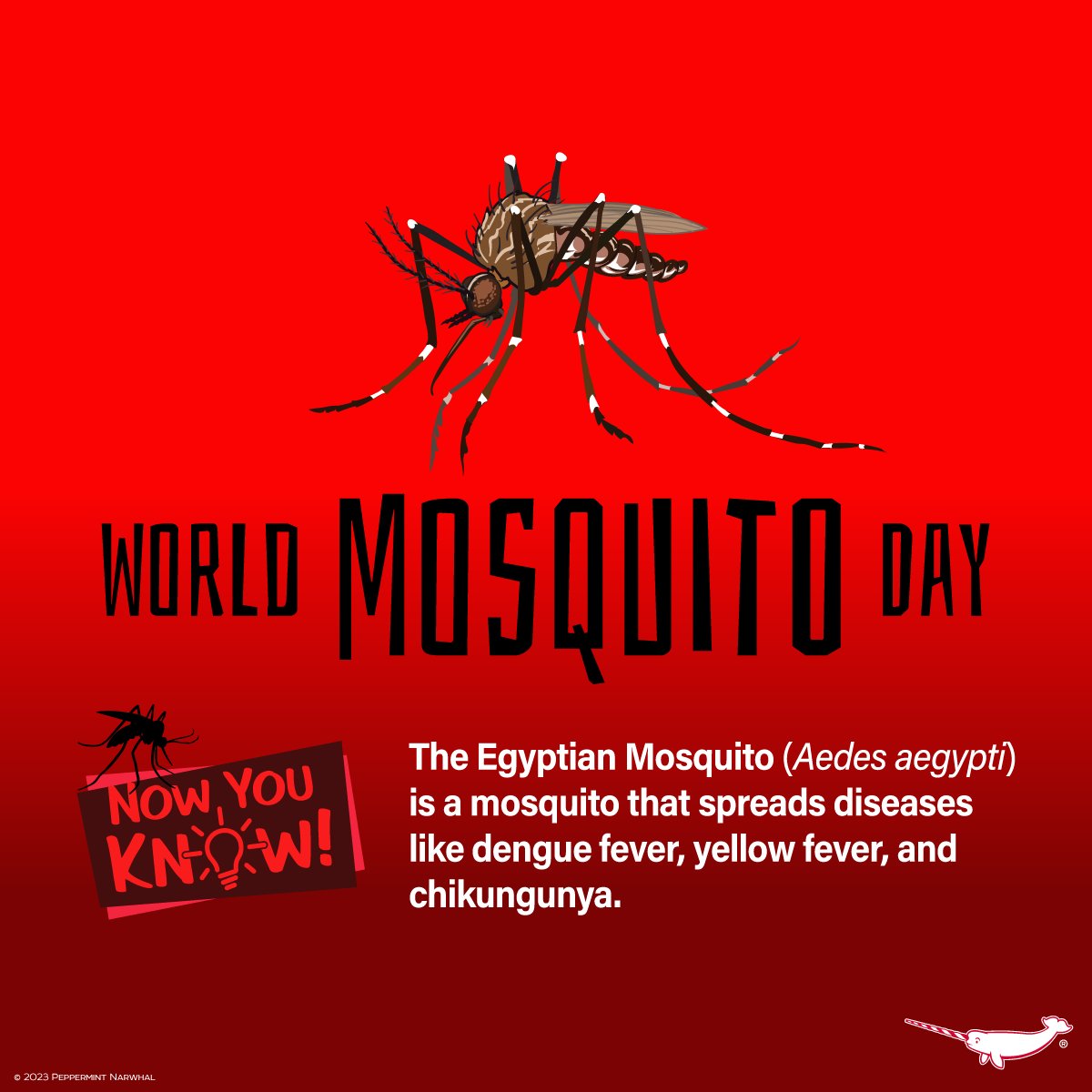 #WorldMosquitoDay #EgyptianMosquito #Aedes

2026 Animal Holiday Calendar Pre-Sale!!!
Shop #PeppermintNarwhal:
peppermintnarwhal.com
Int'l Shoppers visit our store on Etsy:
etsy.com/shop/Peppermin…

#MosquitoDay #NowYouKnow #Mosquito  #insect #invertebrate