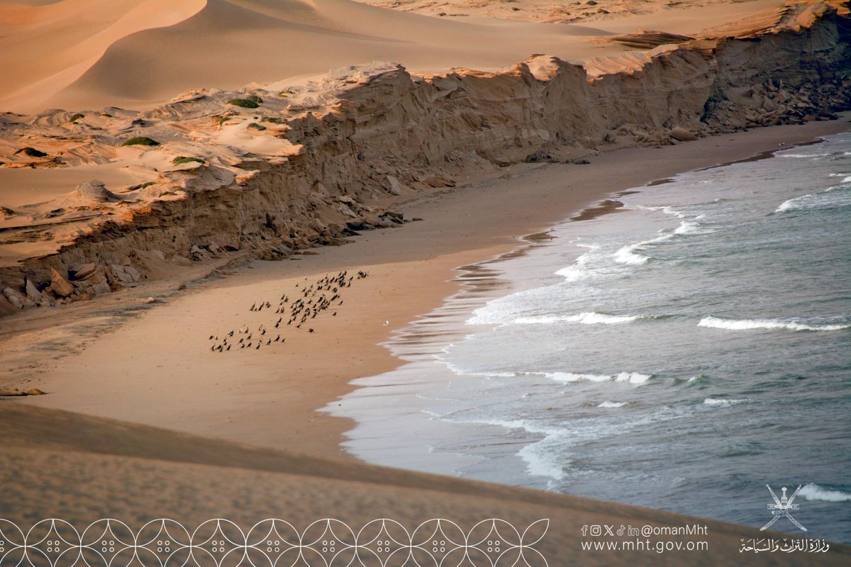OmanMHT's tweet photo. تنطلق فعاليات “هاكاثون السياحة 2025” يوم 27 أغسطس في ولاية الدقم بمحافظة الوسطى وهي مسابقات الأفكار الشبابية الهادفة إلى تطوير قطاع السياحة والضيافة في سلطنة عمان.
التقاصيل: https://t.co/77utjpXipx

#تراث_وسياحة https://t.co/oPDlhXbxWI