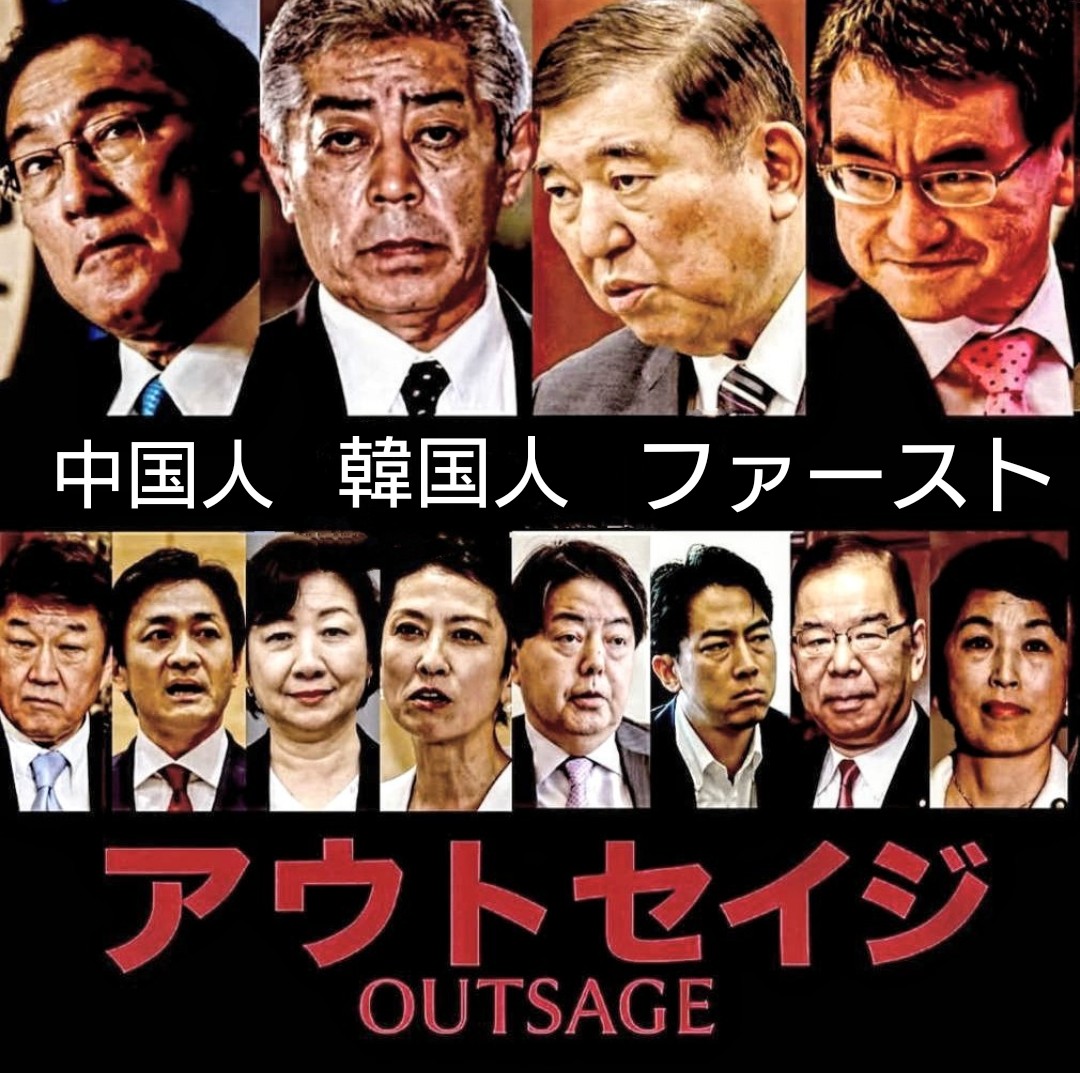 airi_fact_555's tweet image. お前らさぁ…何処の国の政治家なのさ…