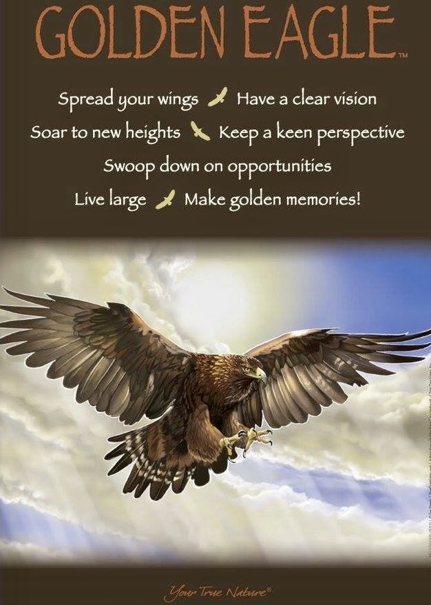 Lord, bless this new school year. Give our teachers wisdom, our classmates kindness, and our hearts a love for learning. May we follow Jesus’ example each day. Amen. #KCFamily 🦅🙏🏽