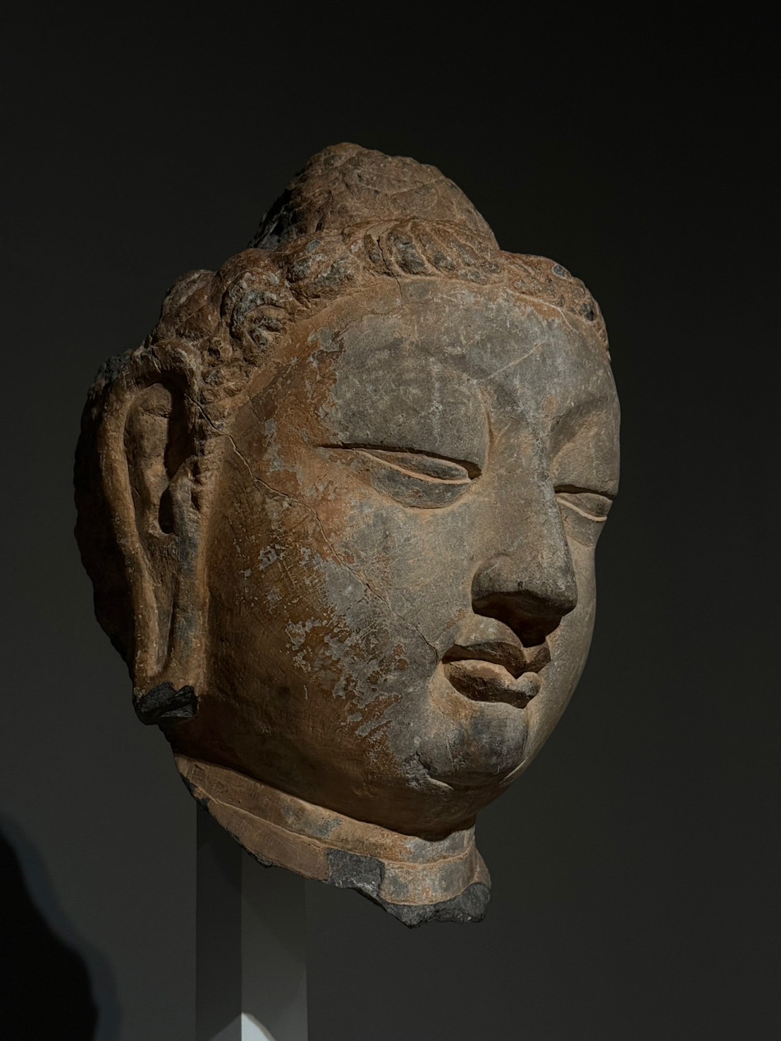【中古】中国の石仏 : 荘厳なる祈り／大阪市立美術館 編／大阪市立美術館 中古】中国の石仏 : 荘厳なる祈り／大阪市立美術館 編／大阪市立