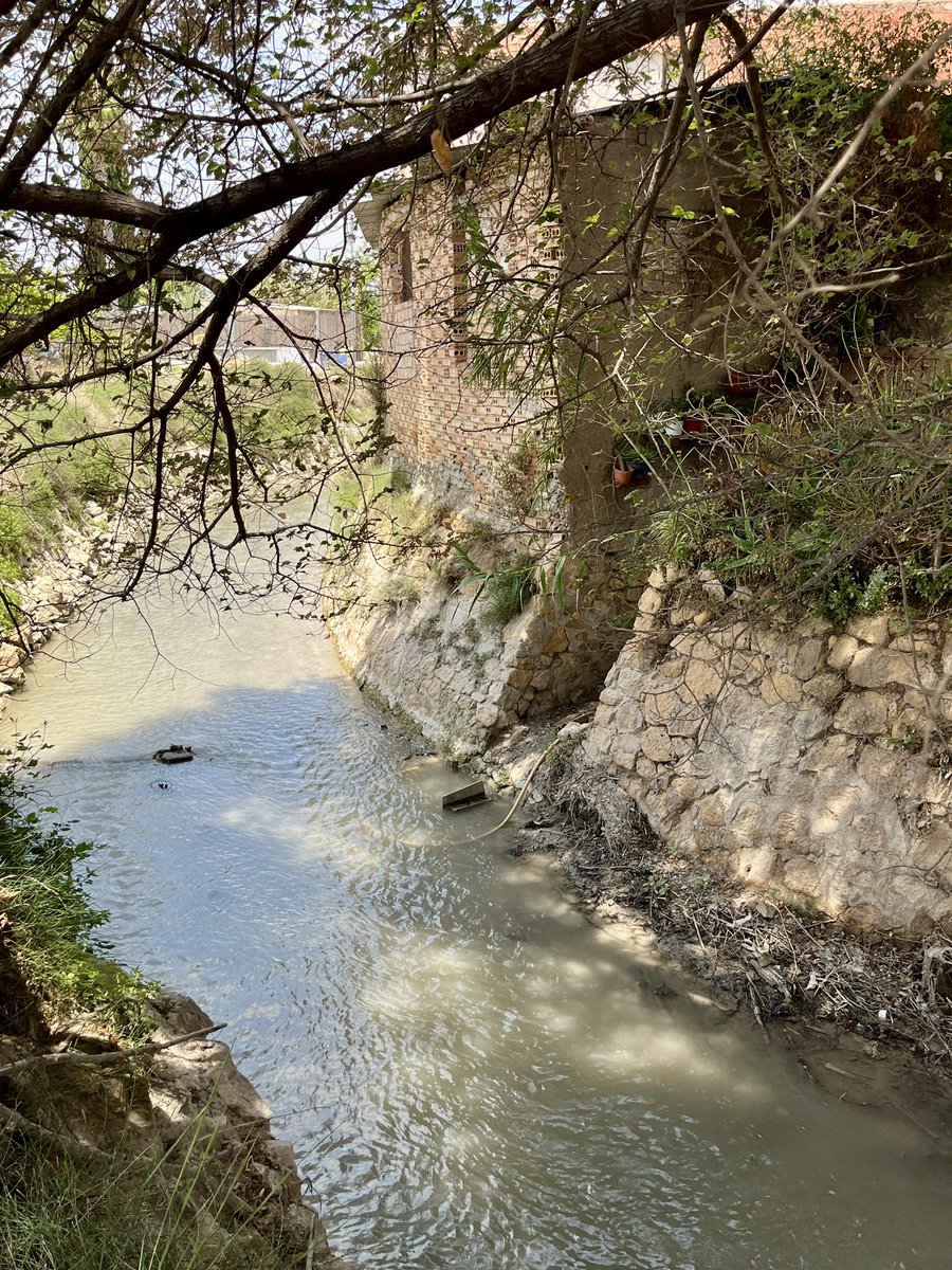 🍋 Acequia Mayor Alquibla
🥦 Aljucer
🍆 Huerta de #Murcia

Podéis ver una 🏡 con un acceso directo a la acequia, hoy en desuso.

Las casas se construían junto a las acequias para disponer de agua.