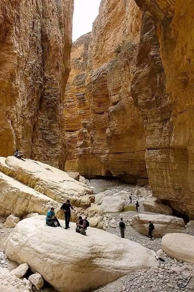 fdctrek34's tweet photo. 📍#بسكرة منطقة جمينة ❤️🇩🇿
تقع منطقة جمينة السياحية جنوب جبال الأوراس، ضمن سلسلة جبال أحمر خدو على ارتفاع 650 متر فوق سطح البحر، حيث تبعد عن مدينة بسكرة بحوالي 100 كيلومتر عبر الطريق الوطني رقم 83 الذي يمر عبر مدينة سيدي عقبة، كما تبعد عن دائرة زريبة الوادي بحوالي 35 كلم جنوبا https://t.co/y6b8gEVuMn