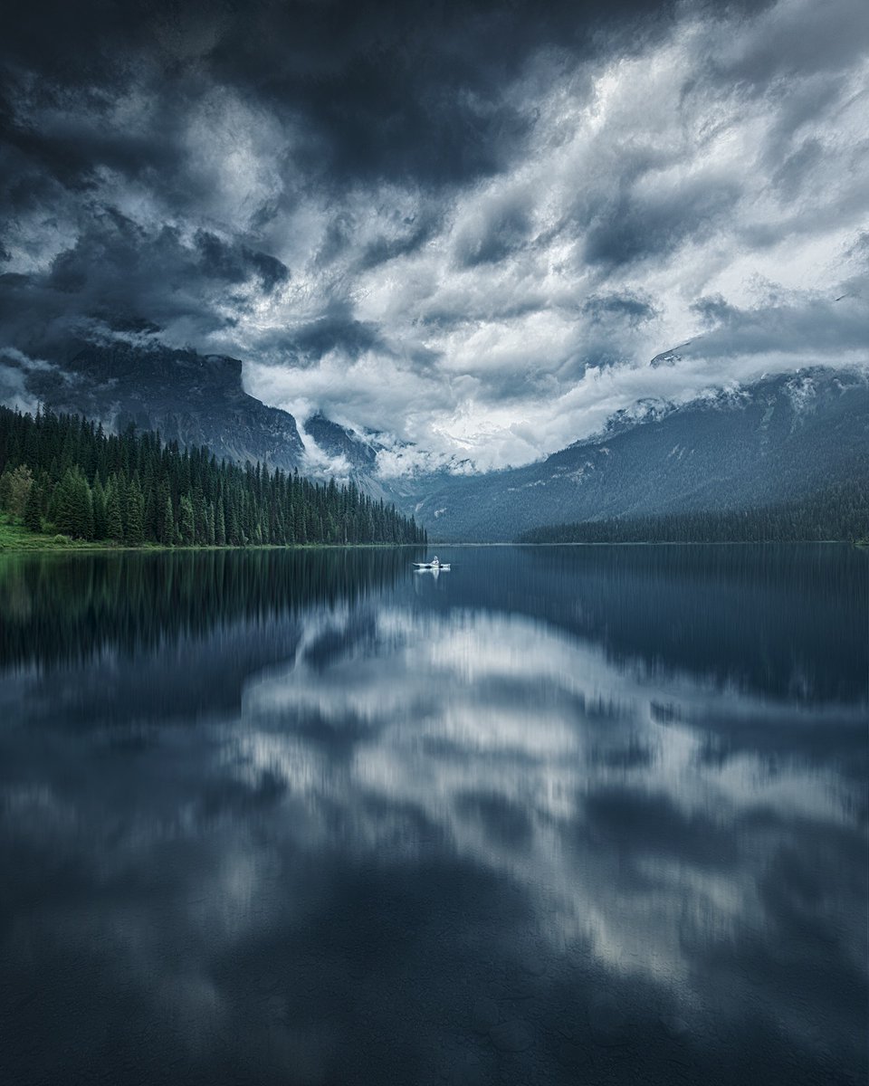 earthcurated's tweet image. — silence