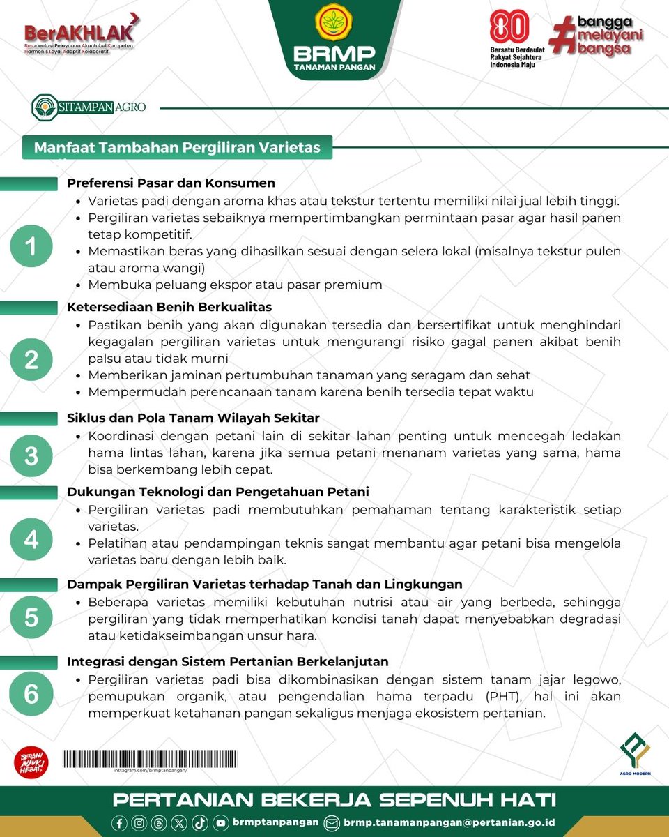 brmptanpangan's tweet photo. Hai Sobat BRMP, Tahukah kamu?
Pergiliran varietas padi adalah strategi cerdas dalam pertanian yang punya dampak besar terhadap ketahanan pangan. 𝘠𝘶𝘬, kita simak penjelasannya dalam infografis berikut!
#AgroModern #BRMP #BRMPKementan #Kementan #PertanianMaju #BRMPTP https://t.co/Ub3NZ01PnX