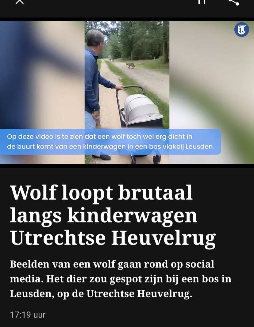 Chris Klomp tweet media