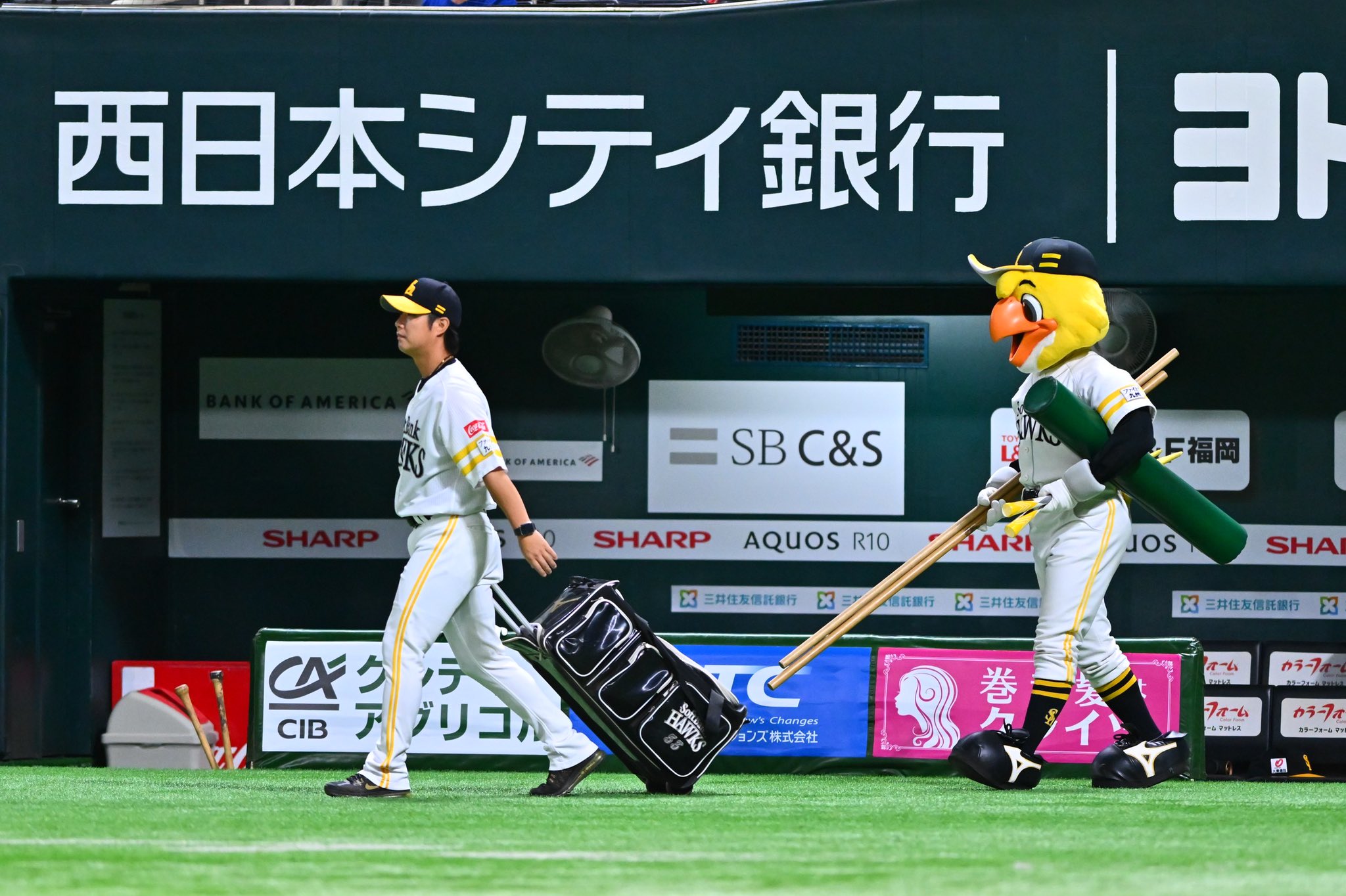 タイヨウホークス まとめ買い 鷹フル（ホークス専門メディア） on X: 