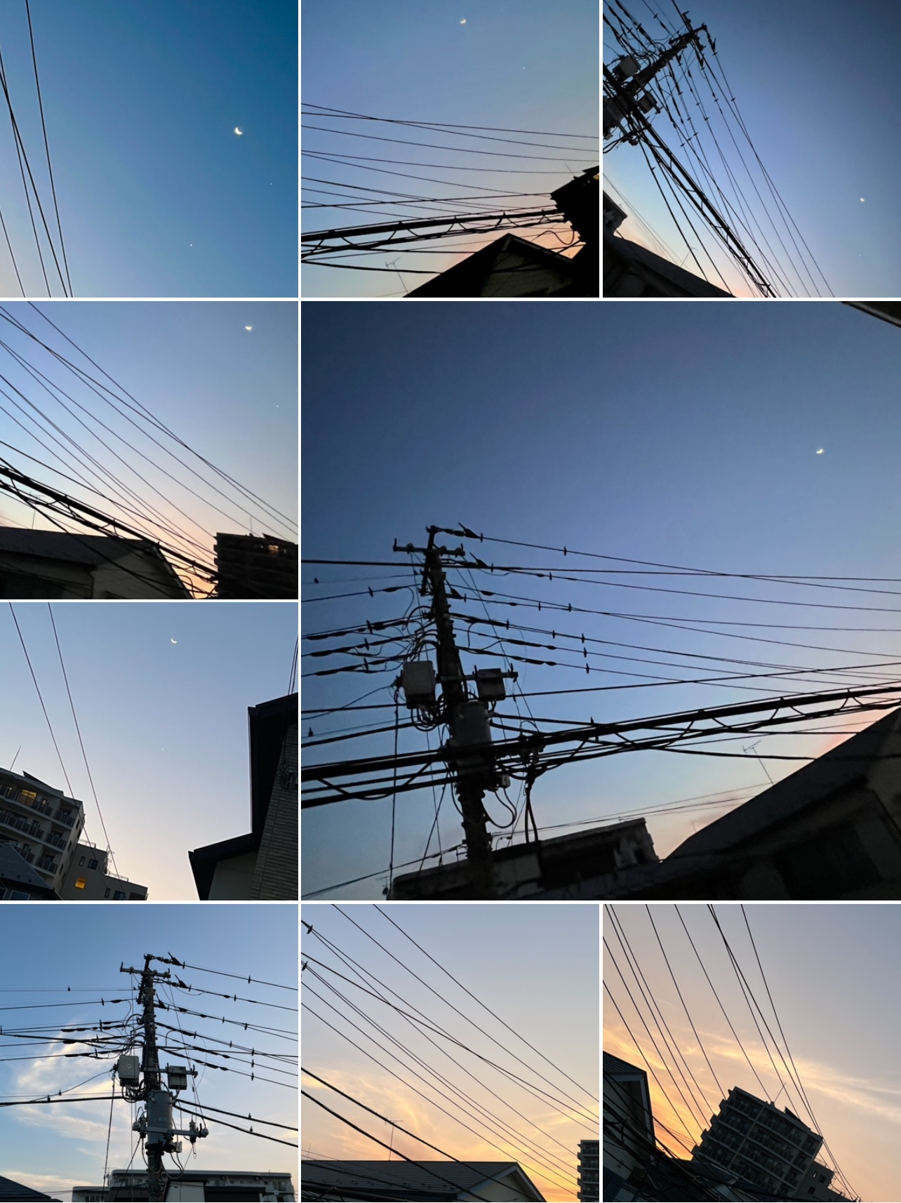 A✨月〜木発送✨金土日分は月曜早朝発送ページ すみれ on X: 